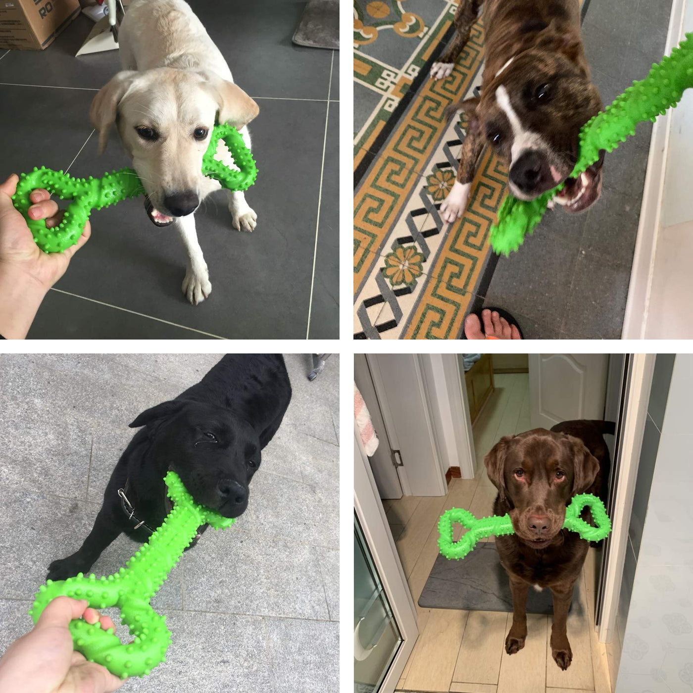 Jouet pour chien robuste en forme d'os à mâcher en caoutchouc dur avec un design convexe