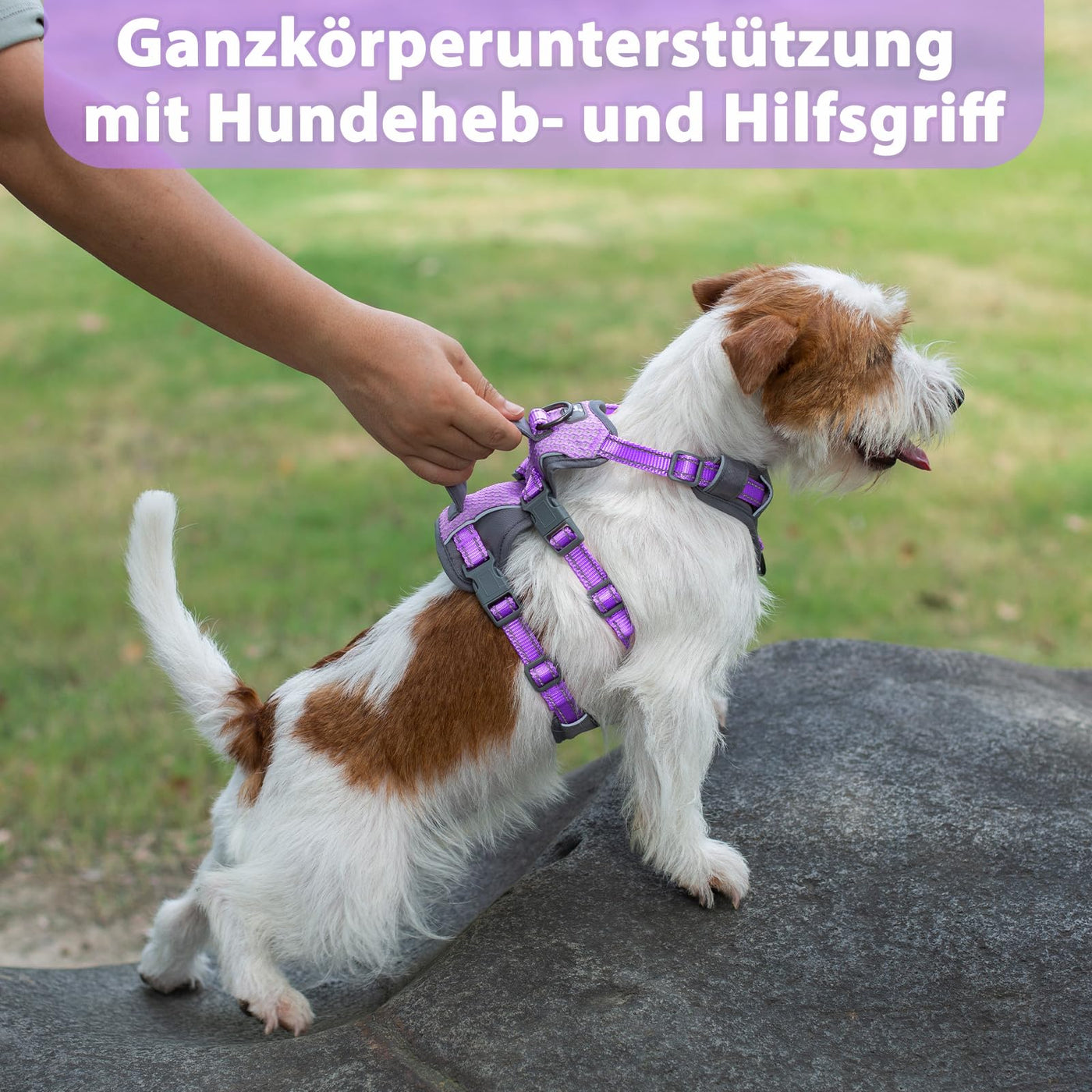 Reflective Dog Harness with Handle