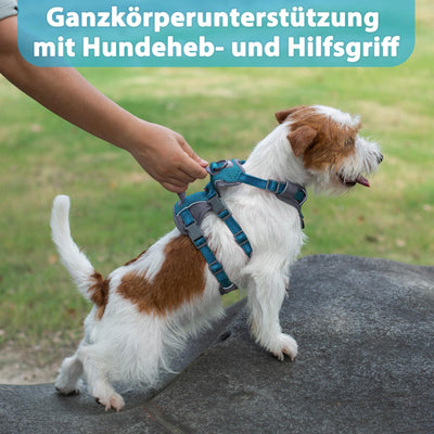 Harnais Réfléchissant pour Chien avec Poignée