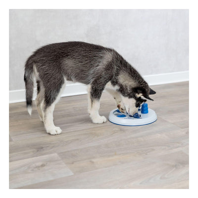 Jeu de Stratégie d'Activité Canine