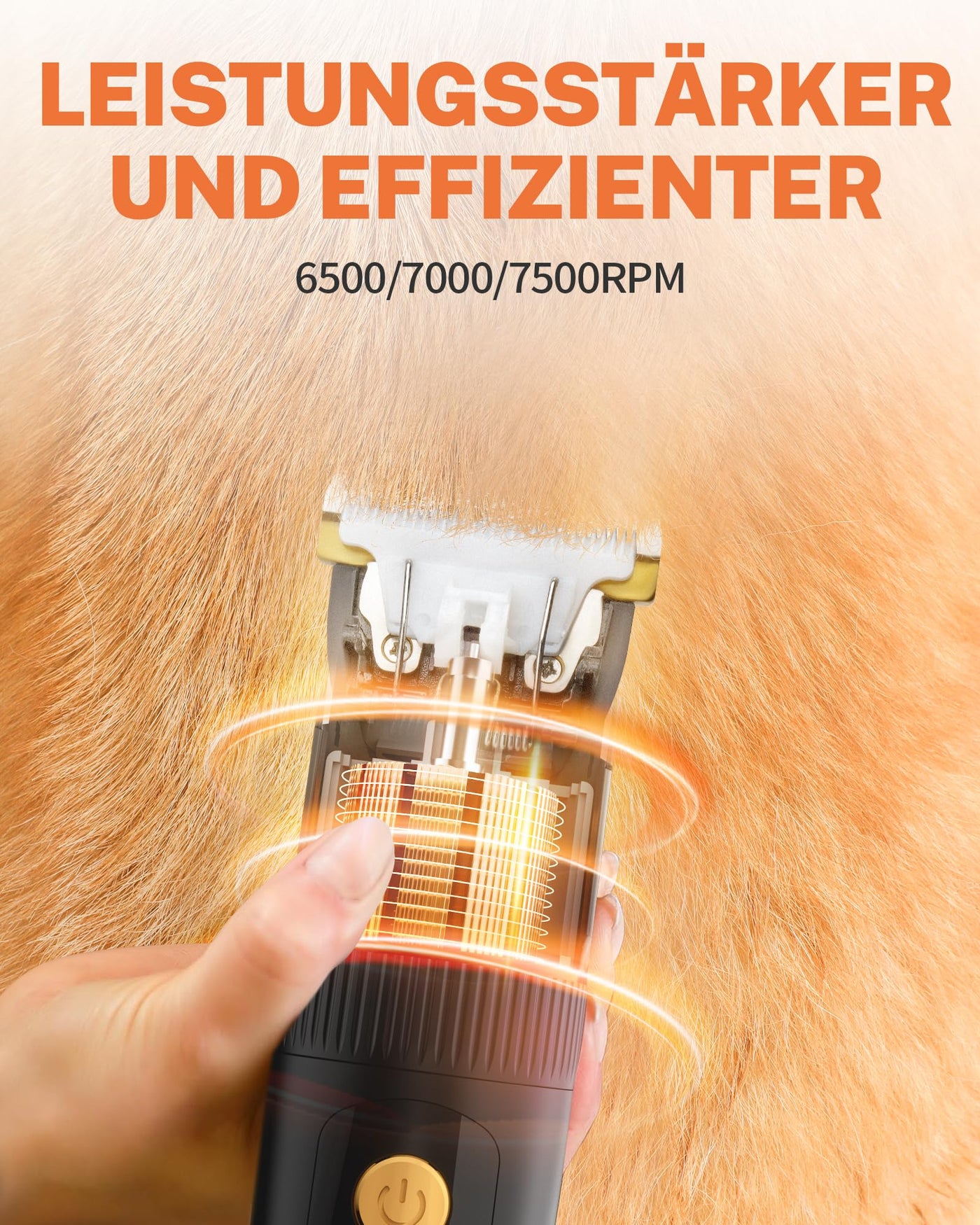 Tondeuses pour Chiens Silencieuses, Tondeuses Professionnelles pour Chiens et Chats, Tondeuses Électriques pour Animaux de Compagnie, Sans Fil Rechargeables, Tondeuses pour Chiens avec Moteur Puissant de 7500 TR / min, Noir