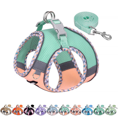 Gilet pour tous les temps, vaisselle réfléchissante pour animaux de compagnie