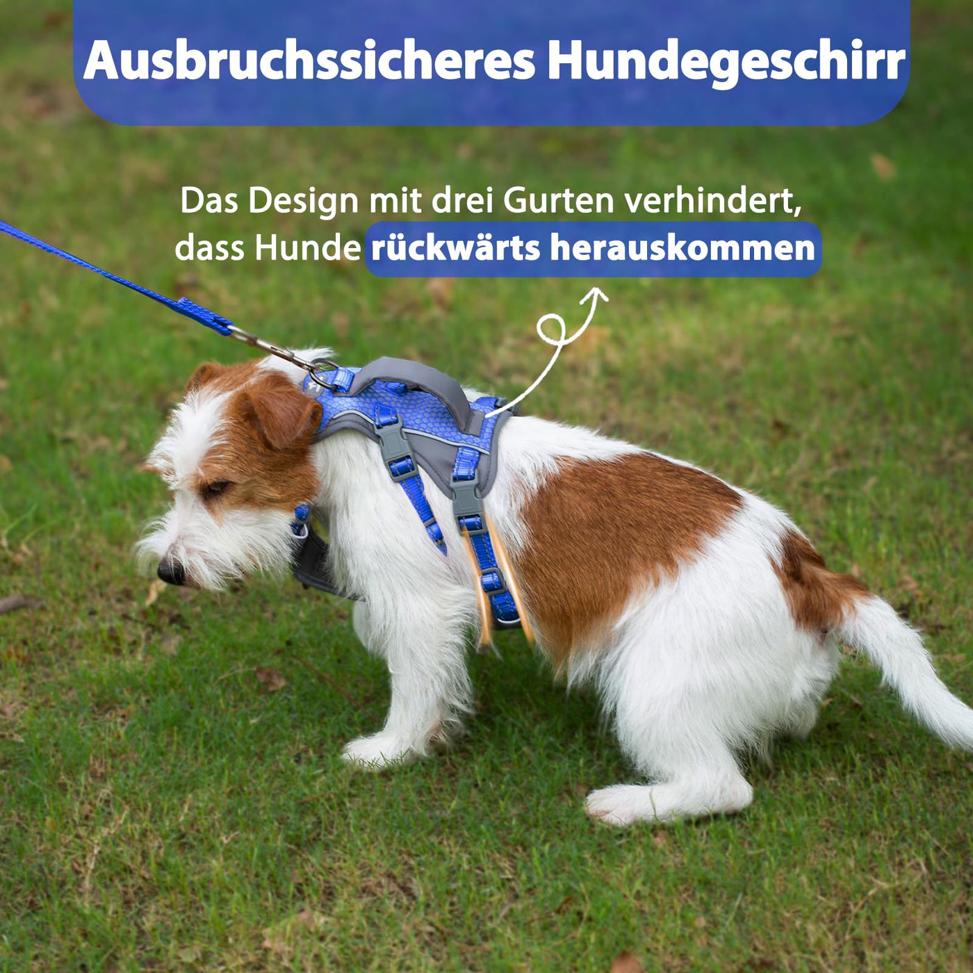 Reflective Dog Harness with Handle