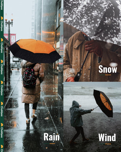 Parapluie de Voyage Compact Grand Storm Fes