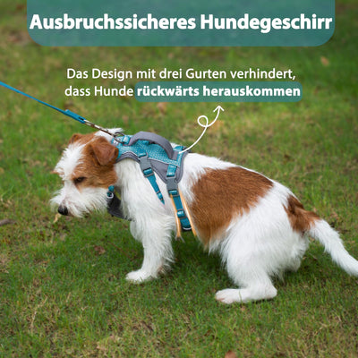 Harnais Réfléchissant pour Chien avec Poignée