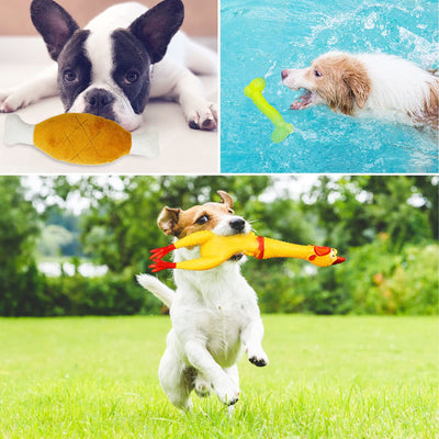19 pièces Jouets de corde pour chien - Éviter l'ennui et l'anxiété pour les chiots Jeu de dentition pour les petits, moyens et grands chiens Jouets de corde en coton Jouet à mâcher interactif