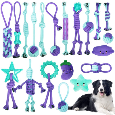 jouets pour chien, ensemble de jouets pour chien, ensemble de jouets à mâcher de 20 pièces pour chiens de petite/moyenne taille, jouets pour chiots pour les soins dentaires des chiens