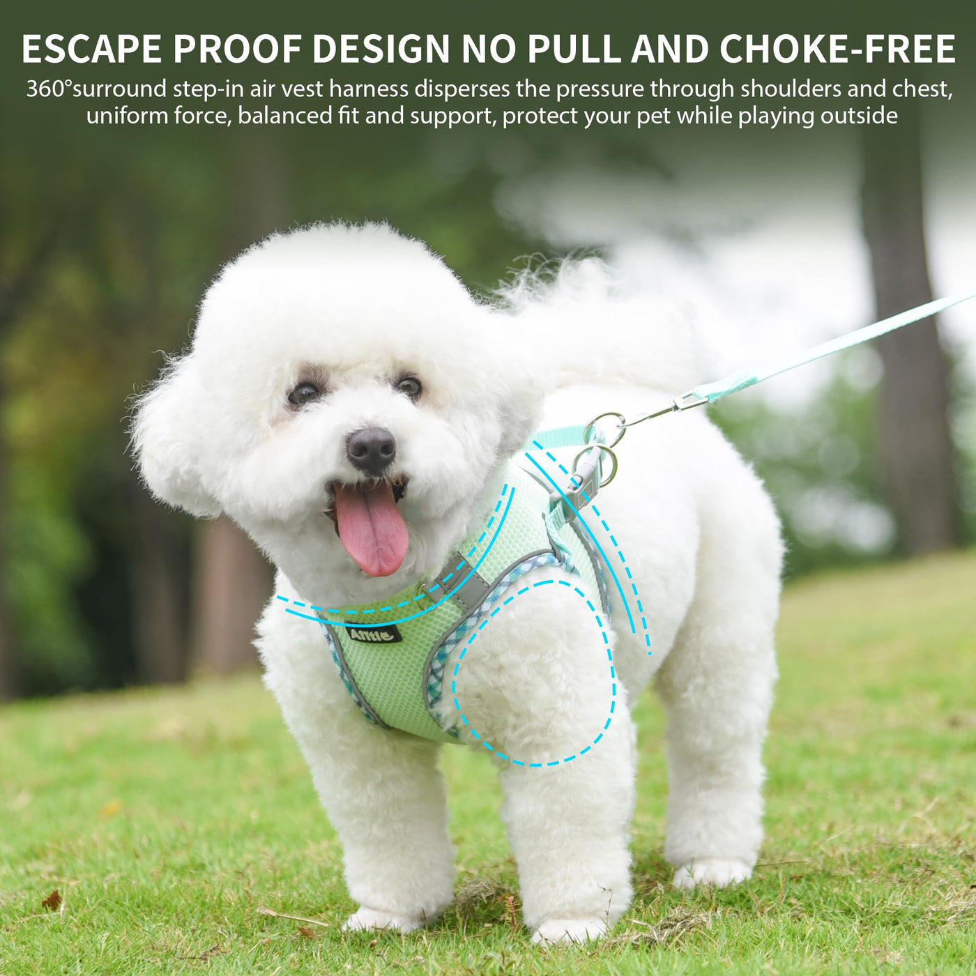 Weste für jedes Wetter, reflektierendes Haustiergeschirr