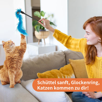 Jouet en Plumes, 16 Pièces, Jouet pour Chat avec 2 Tiges de Chat Interactives Rétractables et 14 Pièces de Remplacement de Plumes,Insectes, Poissons avec Cloches, Jouet pour Chat à Plumes avec Sac de Rangement