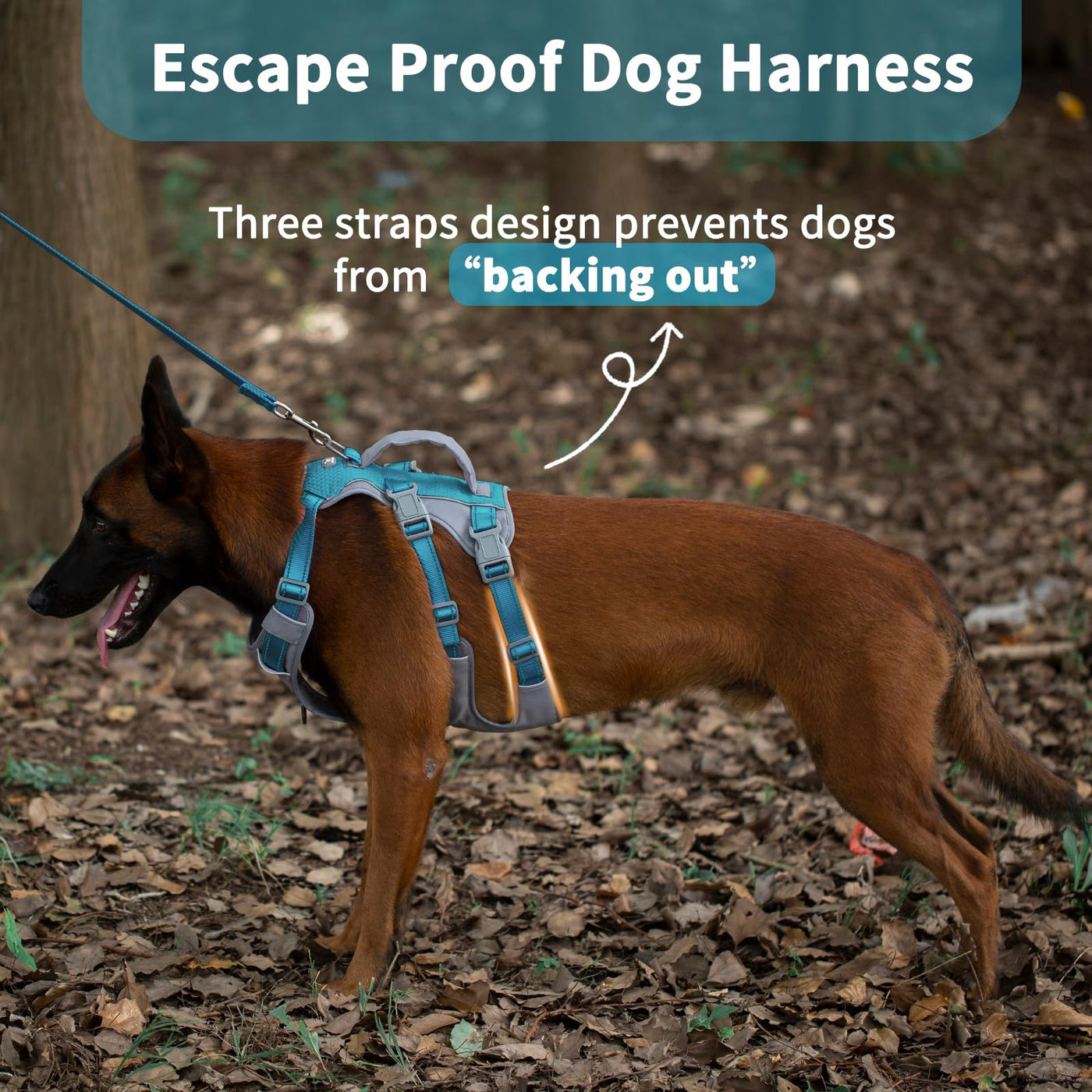 Harnais Réfléchissant pour Chien avec Poignée