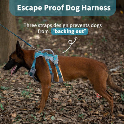 Harnais Réfléchissant pour Chien avec Poignée