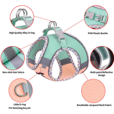 Gilet pour tous les temps, vaisselle réfléchissante pour animaux de compagnie