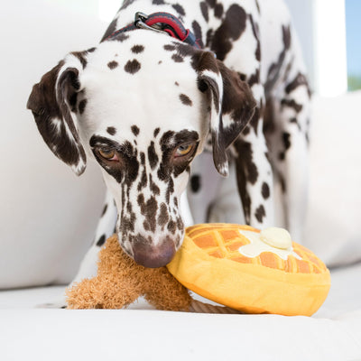 Jouet Pour Chien, Peluche, Repaires Hurlants