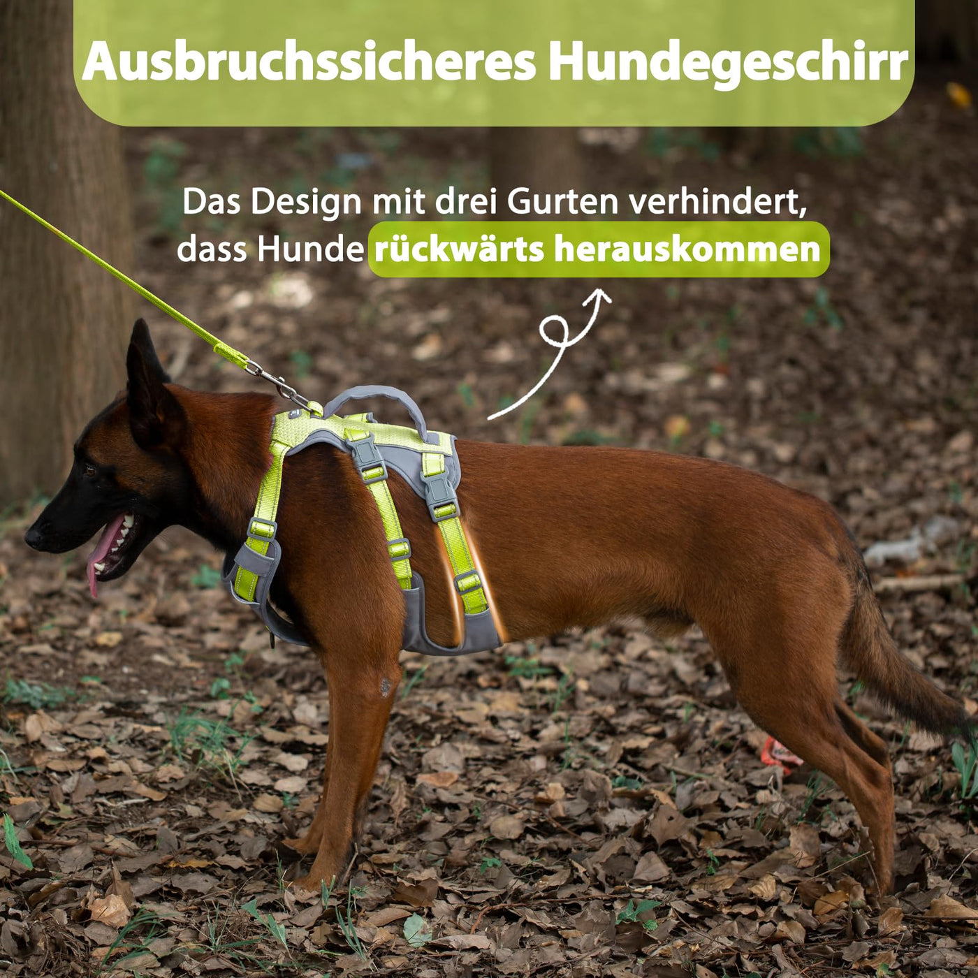 Harnais Réfléchissant pour Chien avec Poignée