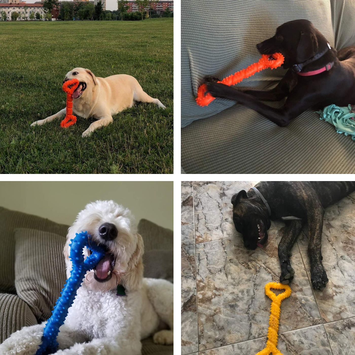 Jouet pour chien robuste en forme d'os à mâcher en caoutchouc dur avec un design convexe