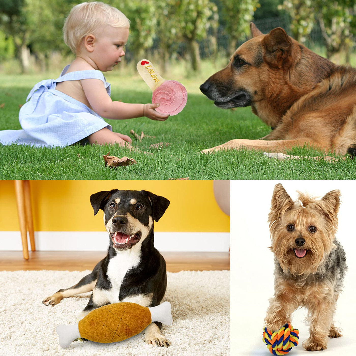 19 pièces Jouets de corde pour chien - Éviter l'ennui et l'anxiété pour les chiots Jeu de dentition pour les petits, moyens et grands chiens Jouets de corde en coton Jouet à mâcher interactif