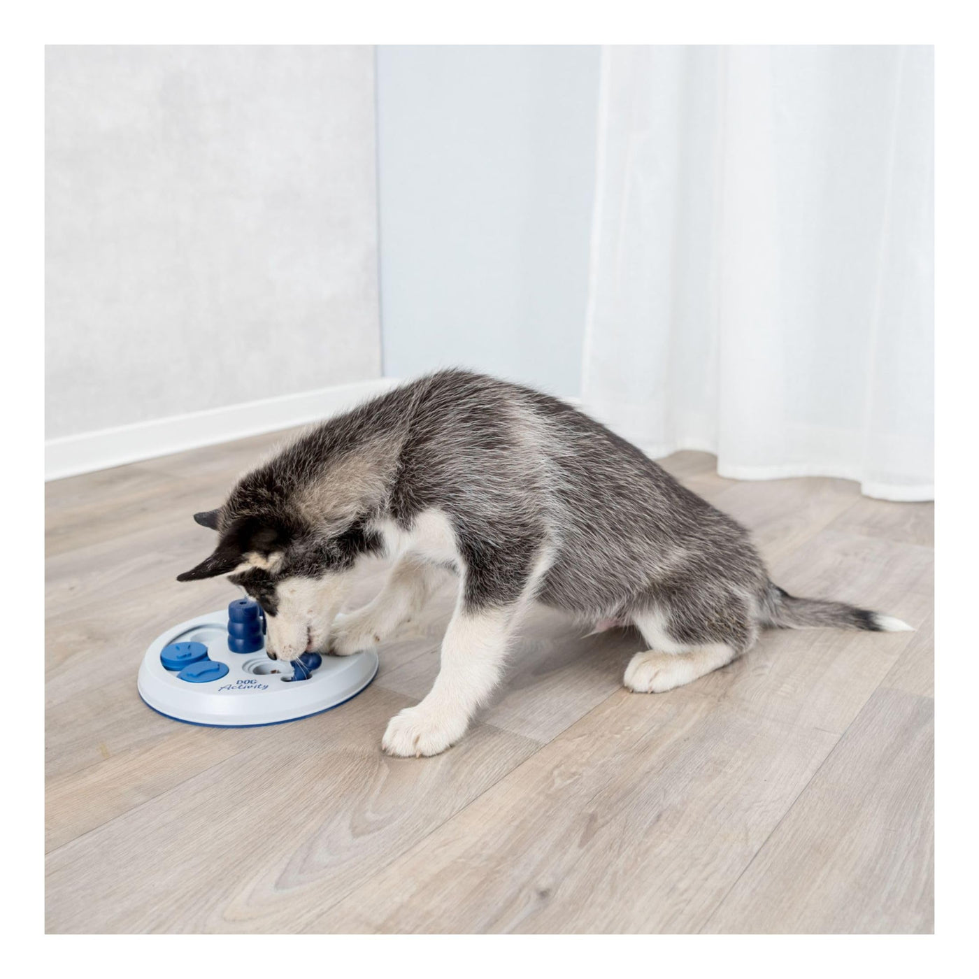 Jeu de Stratégie d'Activité Canine