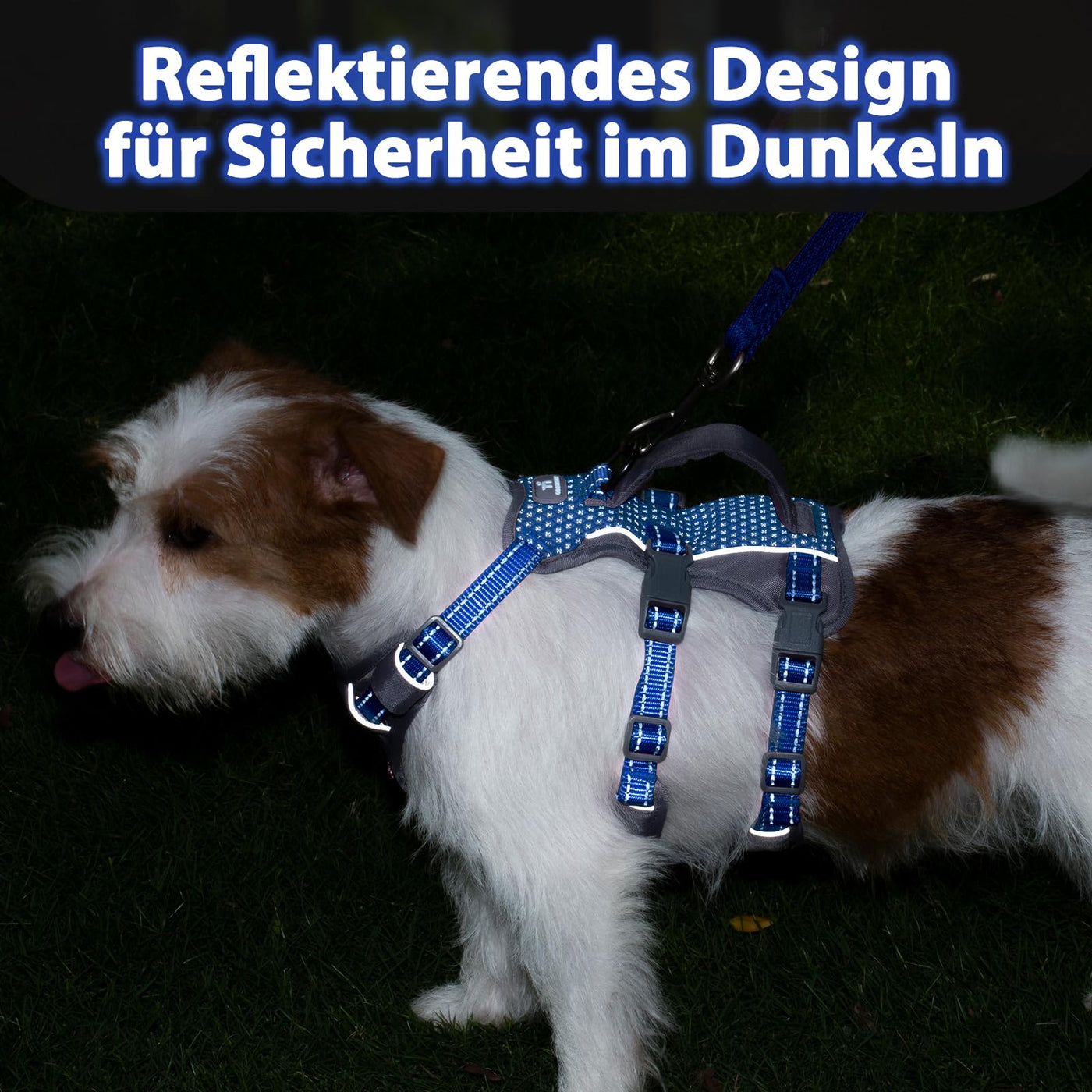 Reflective Dog Harness with Handle