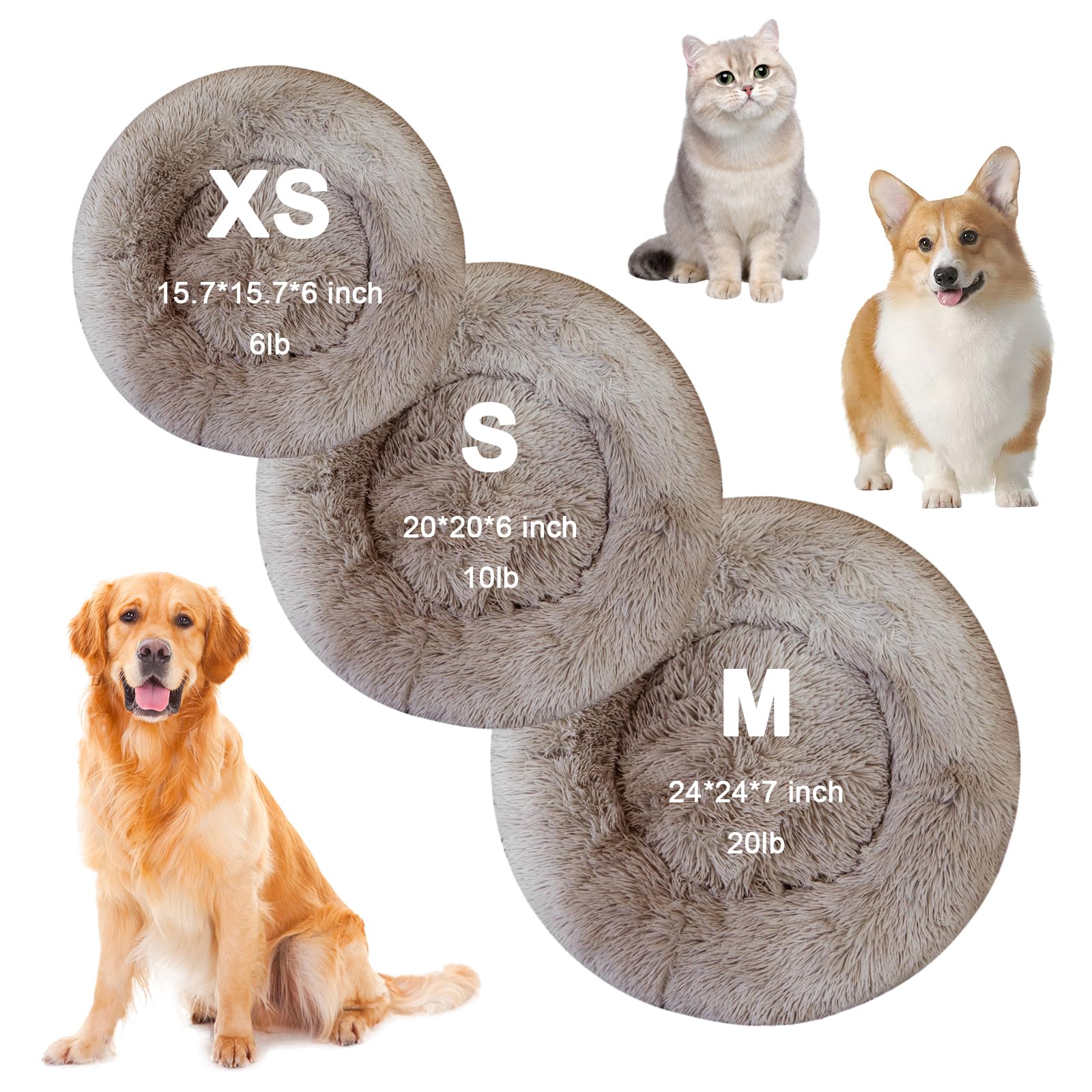 Katzenbetten für Hauskatzen, Hundebett für kleine meliumgroße Hunde