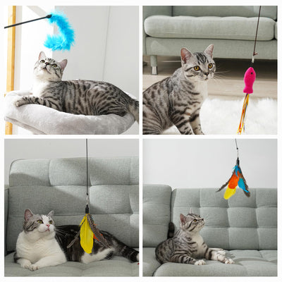 Jouet en Plumes, 16 Pièces, Jouet pour Chat avec 2 Tiges de Chat Interactives Rétractables et 14 Pièces de Remplacement de Plumes,Insectes, Poissons avec Cloches, Jouet pour Chat à Plumes avec Sac de Rangement