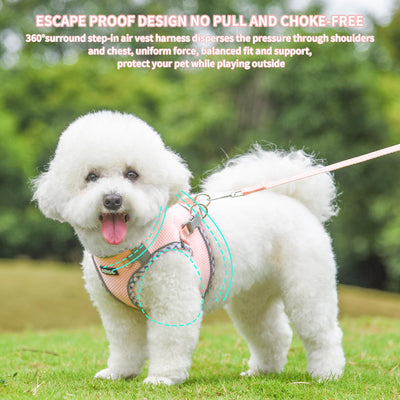 Gilet pour tous les temps, vaisselle réfléchissante pour animaux de compagnie