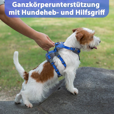 Reflective Dog Harness with Handle