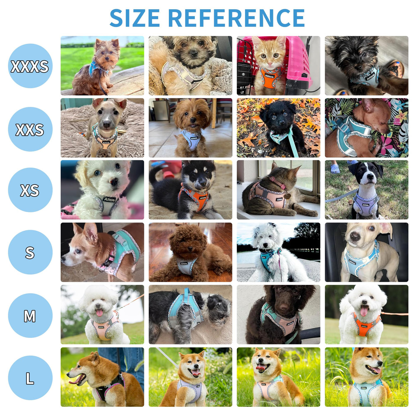 Vest for all weather, reflective pet tableware