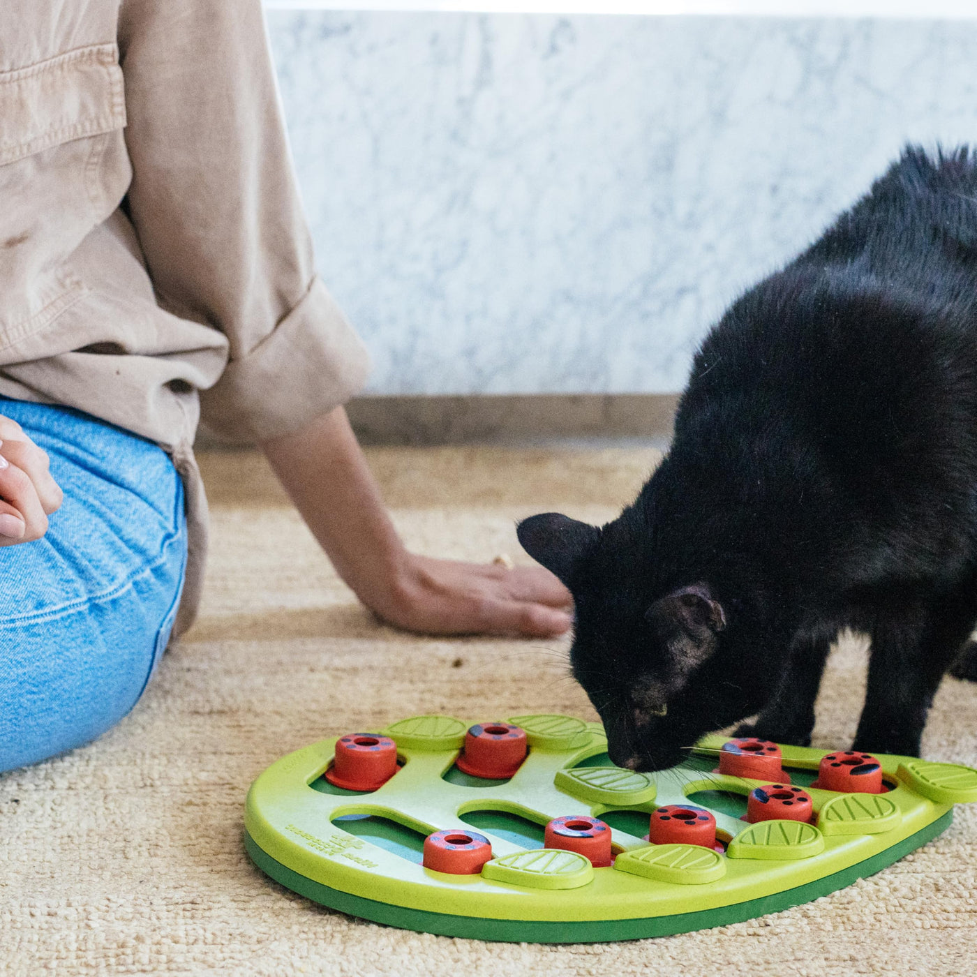 Petstages Buggin Out Puzzle Play - Interactive Cat Toy for Treats