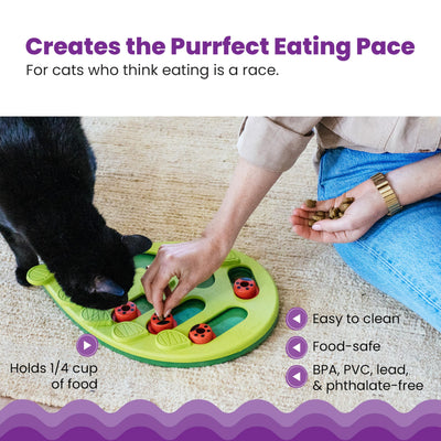 Petstages Buggin Out Puzzle Play - Interactive Cat Toy for Treats