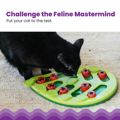 Petstages Buggin Out Puzzle Play - Interactive Cat Toy for Treats