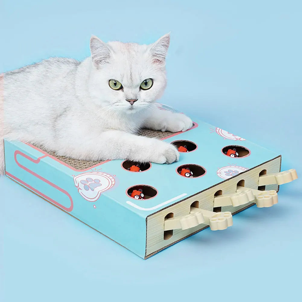 S20db50e9175b4cb08d47d48e5debb330R