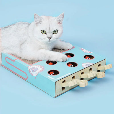 S20db50e9175b4cb08d47d48e5debb330R