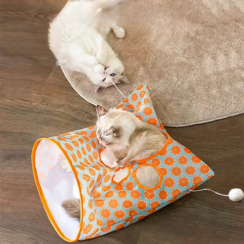 S49794be432e147c9915a64a03ed7a281e