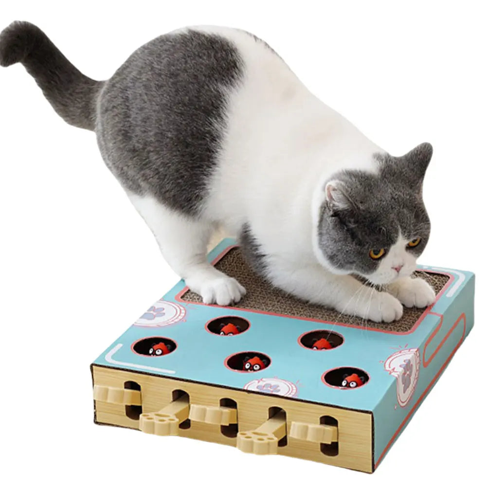 Sf040f3df26654ee5a3e1bf7458e0216cb