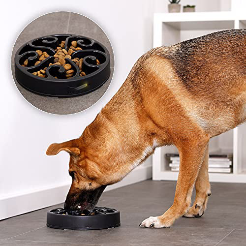 Dog bowl anti-snake feeding bowl non-slip cat bowl anti-snake dog bowl food bowl