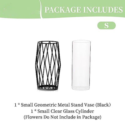 Glass Flower Vase with Geometric Metal Shelf Stand, Crystal Clear Terrarium Planter