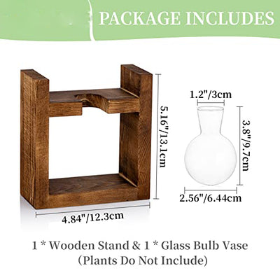 Propagation Station 1 Piece Bulb Avocado Vase Glass Acorn Vase For Flowers Terrarium Jar Planter With Wooden Shelf Stand Holder