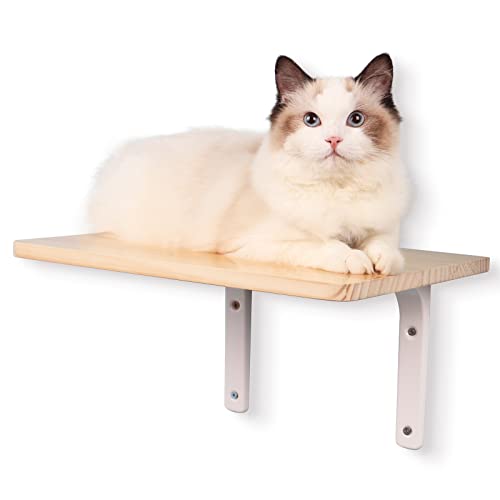 Plateforme de chaise longue murale pour chats | Mur d'escalade | étagère flottante pour chat, lieu de couchage, mobilier pour chat, parc mural