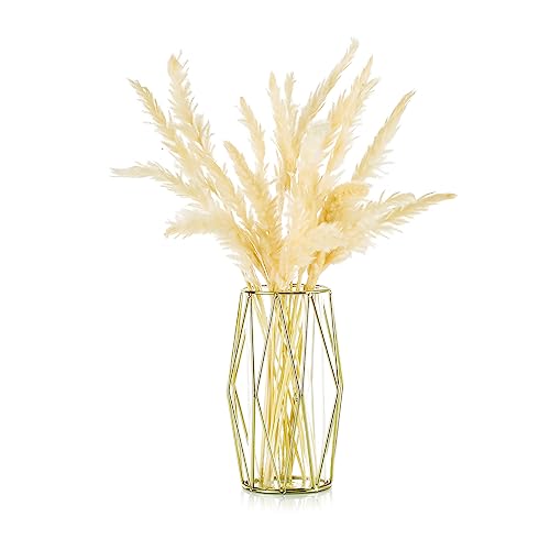 Vase For Pampas Grass, Glass Gold Vase High Floor Vase With Geometric Metal Frame Stand