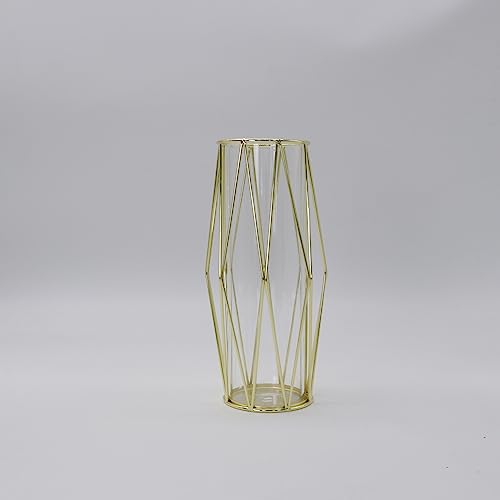 Vase For Pampas Grass, Glass Gold Vase High Floor Vase With Geometric Metal Frame Stand