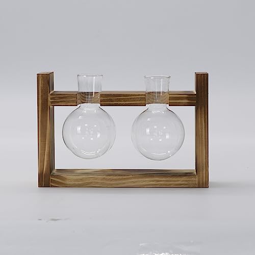 Propagation Station 2 Piece Bulb Avocado Vase Glass Acorn Vase For Flowers Terrarium Jar Planter With Wooden Shelf Stand Holder