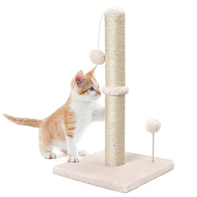 Cat Scratching Post