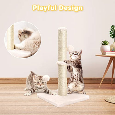 Cat Scratching Post