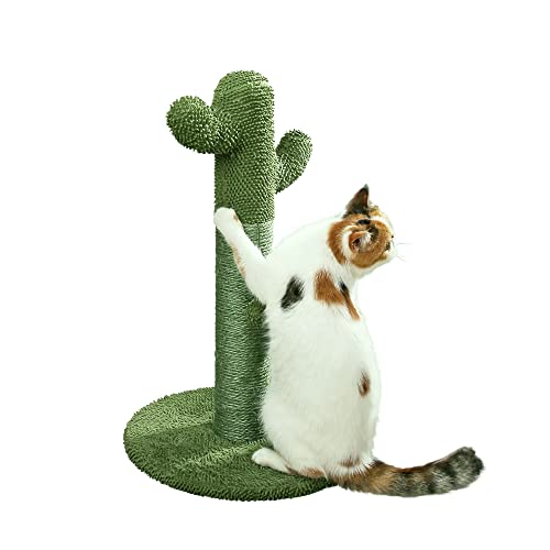 Cactus Cat Scratching Post - Protect Your Furniture with Natural Sisal Scratching Posts and Pads