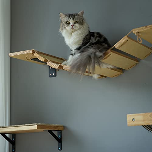 Climbing wall cats, cat bridge and cat lounger for DIY catwalk, cat hammock and cat wall for most kittens, medium and large cats