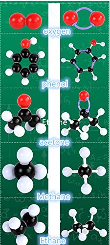 Chemistry Molecular Model Kit (323 Parts), Student or Teacher Set for Organic and Inorganic Chemistry Learning