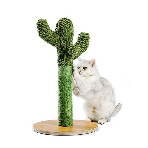 Arbre à chat en forme de cactus, arbre à chat en corde de sisal, jouet fin pour chat