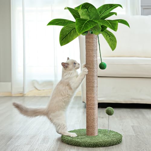 Scratching Posts for Cats