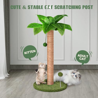 Scratching Posts for Cats