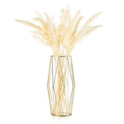 Vase For Pampas Grass, Glass Gold Vase High Floor Vase With Geometric Metal Frame Stand